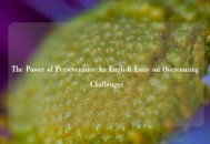 The Power of Perseverance An English Essay on Overcoming Challenges