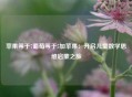 苹果等于7葡萄等于5加苹果：开启儿童数学思维启蒙之旅