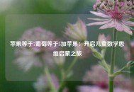 苹果等于7葡萄等于5加苹果：开启儿童数学思维启蒙之旅