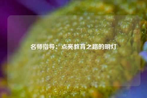 名师指导:点亮教育之路的明灯