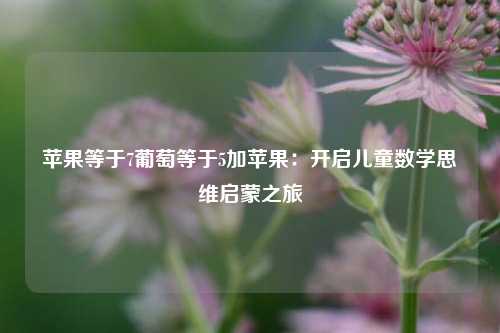 苹果等于7葡萄等于5加苹果：开启儿童数学思维启蒙之旅