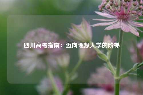 四川高考指南:迈向理想大学的阶梯