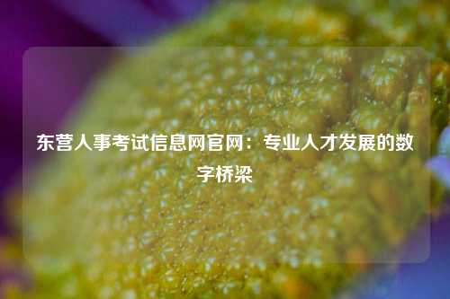 东营人事考试信息网官网:专业人才发展的数字桥梁